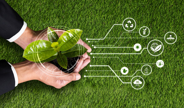Tranziția verde și impactul asupra companiilor românești Tranziția verde și impactul asupra companiilor românești