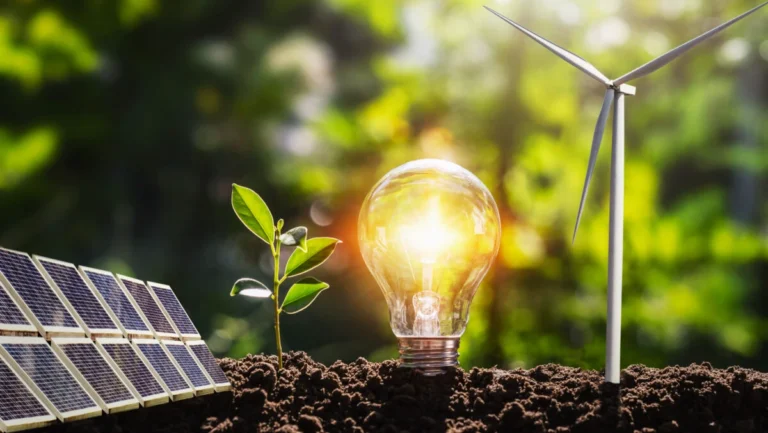Business sustenabil - companii românești care investesc verde