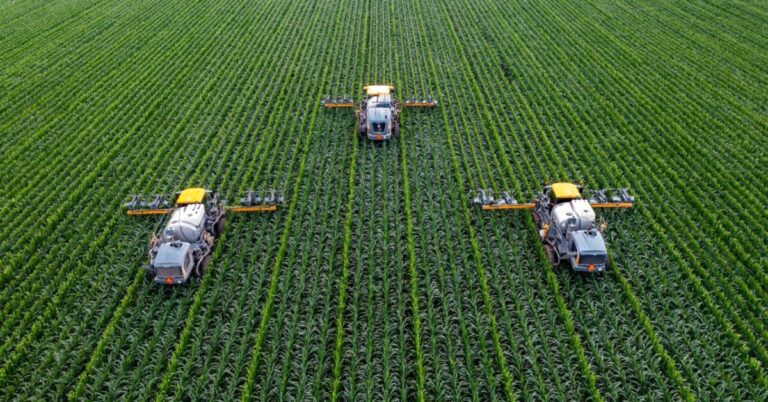 Agricultura regenerativă - model sustenabil pentru fermele românești