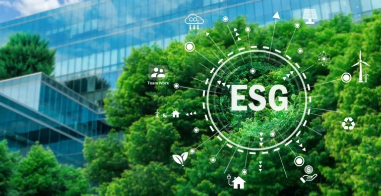 Importanța ESG pentru IMM-urile din România Importanța ESG pentru IMM-urile din România