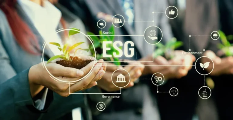 Importanța ESG pentru IMM‑urile din România: Ghid complet Importanța ESG pentru IMM‑urile din România - Ghid complet