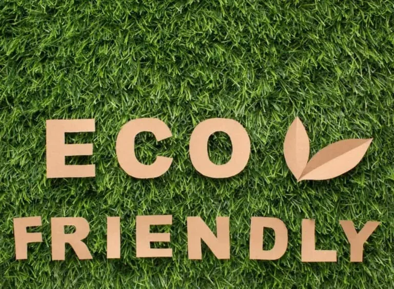 Branding verde în România - Cum să poziționezi afacerea ca eco‑friendly