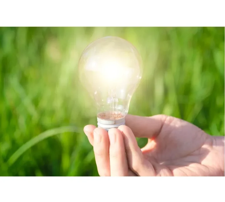 Startup-uri românești ecosustenabile: cum transformă economia verde din România Startup-uri românești ecosustenabile - cum transformă economia verde din România