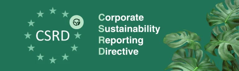 Sustainability Reporting pentru firme - ghid complet 2026